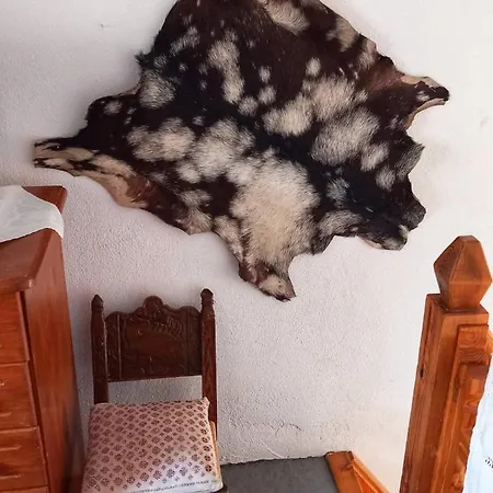 別荘 Grandma's House スキロス